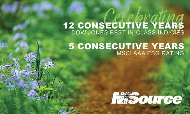 Purple wildflowers with text celebrating NiSource's ESG recognition.