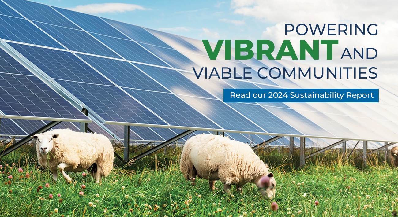 Powering Vibrant and Viable Communications