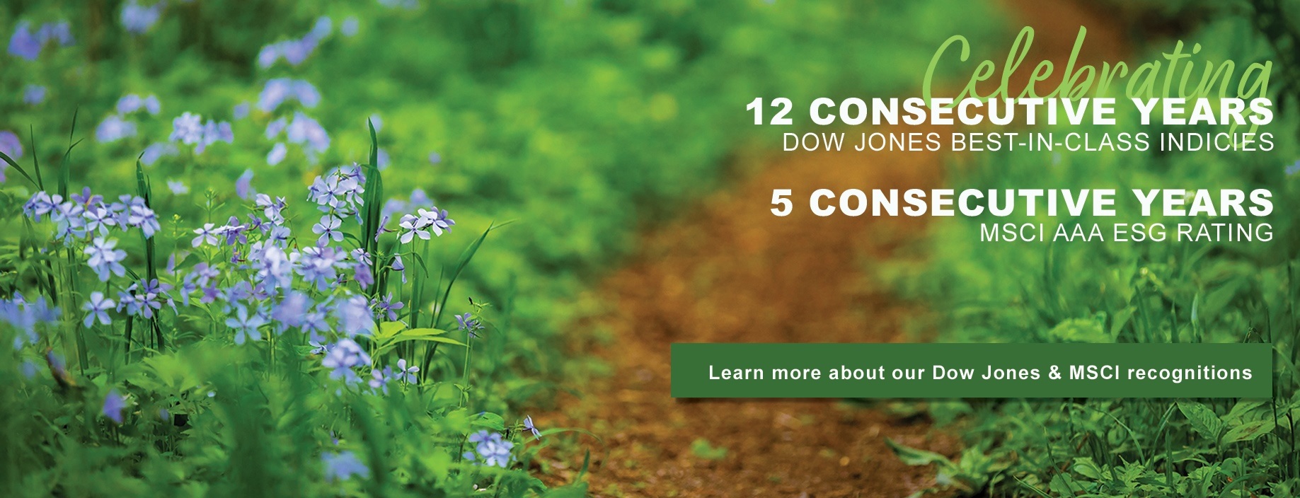 Purple wildflowers with text celebrating NiSource's ESG recognition and a button to learn more.
