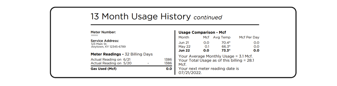 13 month usage history bill section - detail