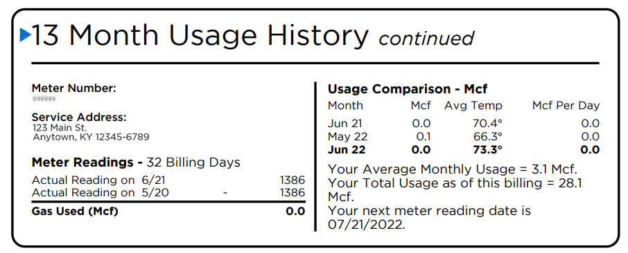 13 month usage history bill section - main