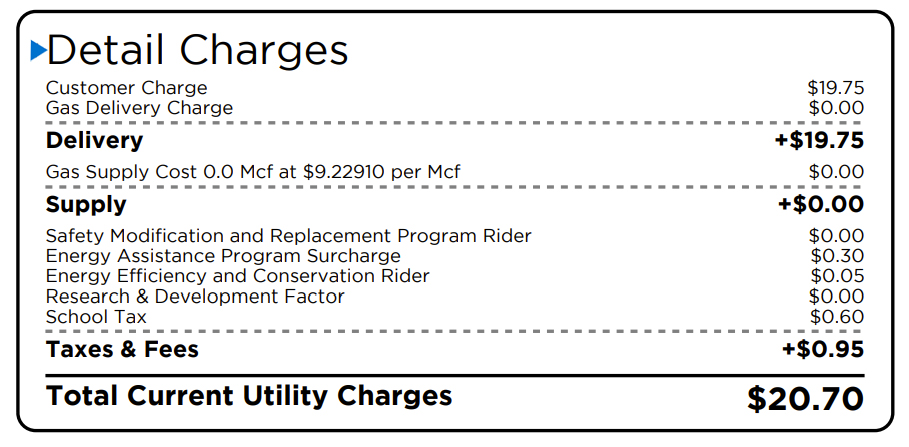 Detail charges bill section - main