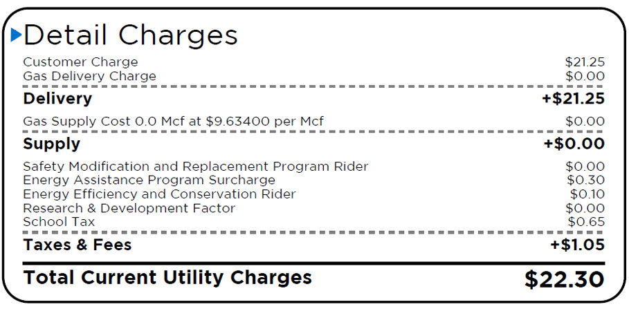 Detail charges bill section - main