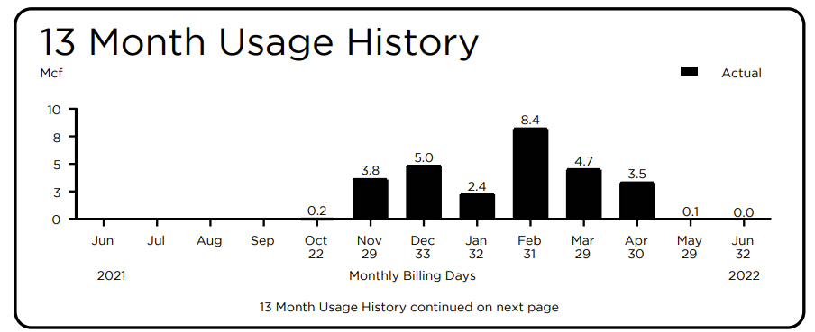 13 month usage history bill section - detail