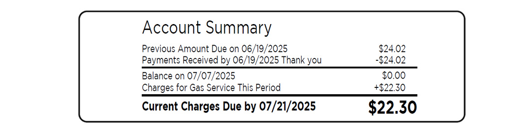 Sample of Columbia Gas of Kentucky Account Summary on Bill - Detail