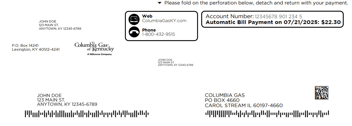 Pay by check bill section - detail
