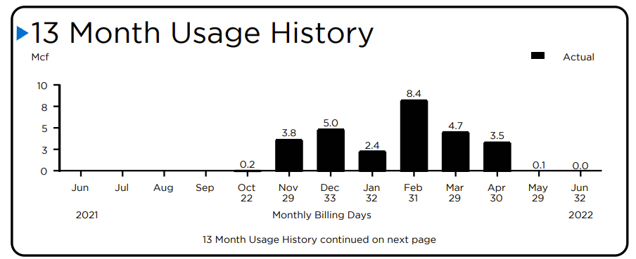 13 month usage history bill section - main