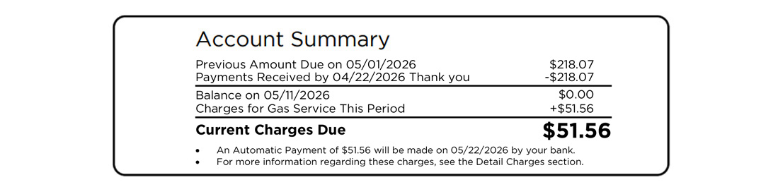 Bill account summary - details