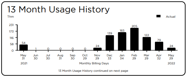 Bill 13 month usage history - details