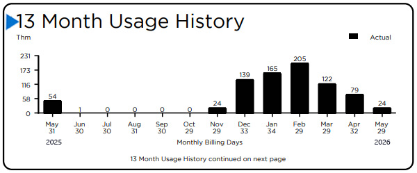 Bill 13 month usage history - main