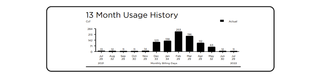 Bill 13 month Usage History section - detail