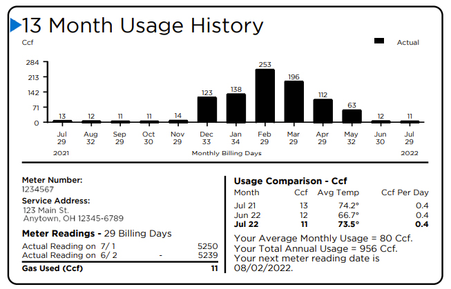 Bill 13 month Usage History section - main