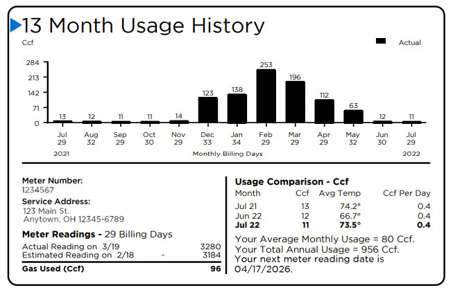 Bill 13 month Usage History section - main