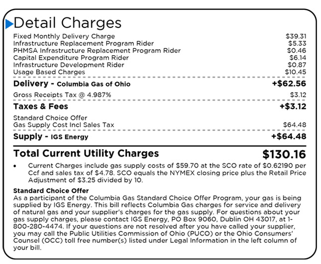Bill detail charges section - main