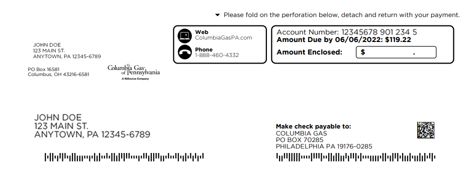 Bill pay with check section - details