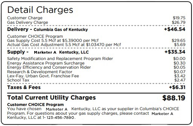 Screenshot of all charges listed on the Kentucky utility bill