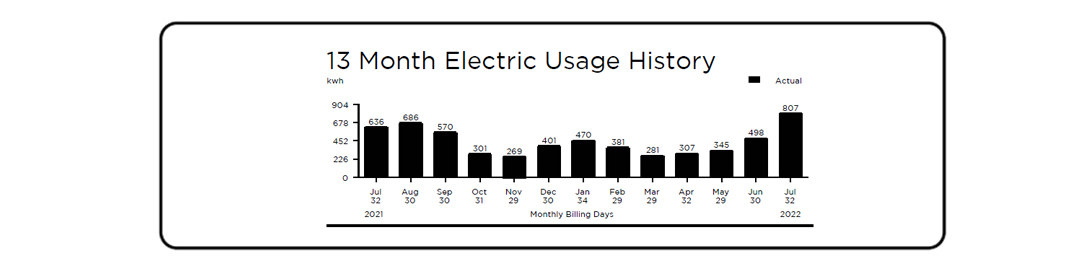 Bill 13 month electric usage history section - details