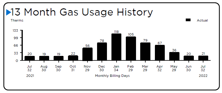 Bill 13 month gas usage history section - main