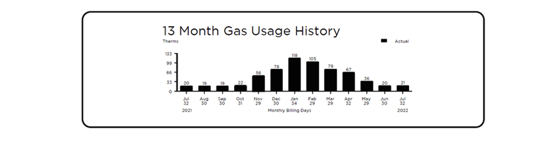 Bill 13 month gas usage history - details