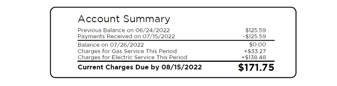 Bill account summary section - details