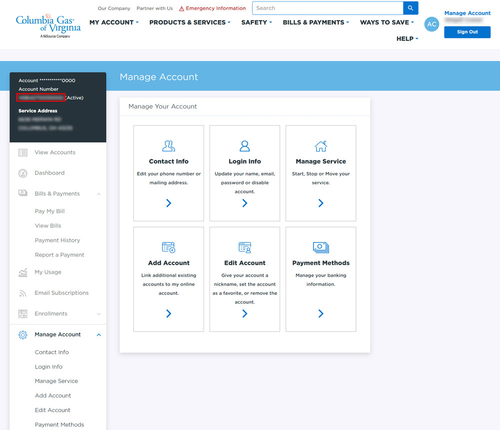Account Number Web