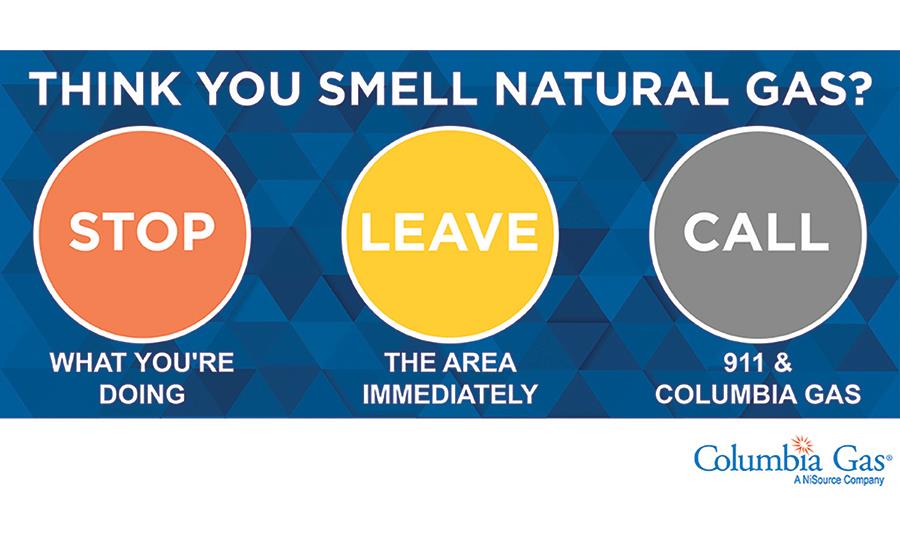 Article Columbia Gas of Maryland