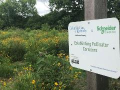 White Columbia Gas sign hanging next to a pollinator field with yellow flowers