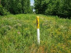 Gas pipeline location marker in a pollinator field