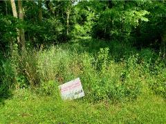 Green vegetation management field surrounded by trees