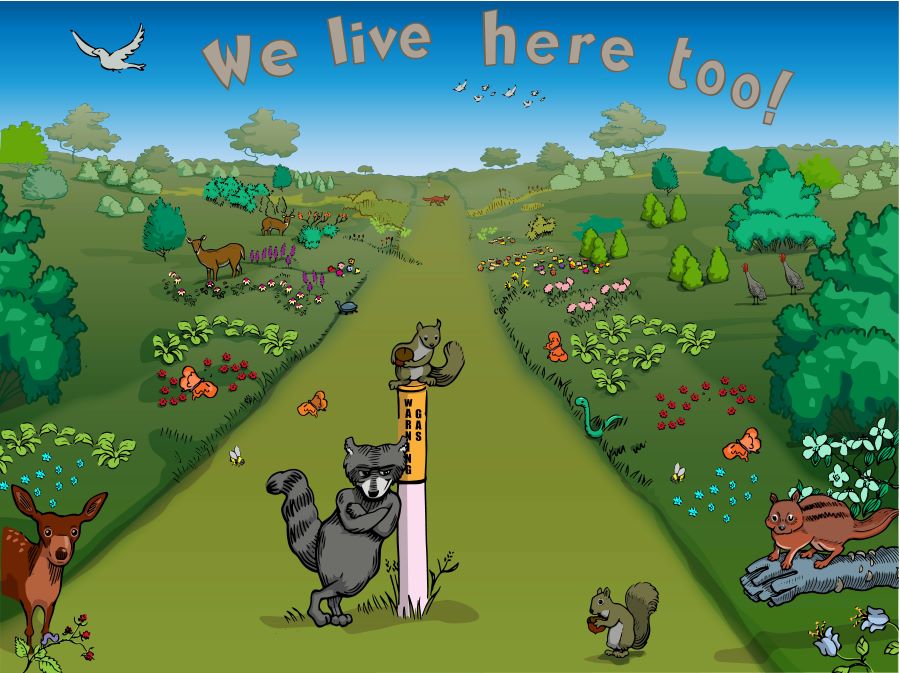 Colored illustration of animals playing in a pollinator right of way